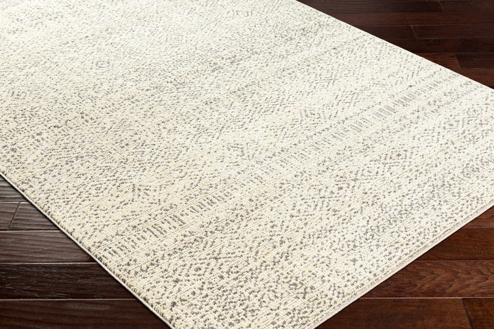 Truc Beige And Brown Traditional Style Rug