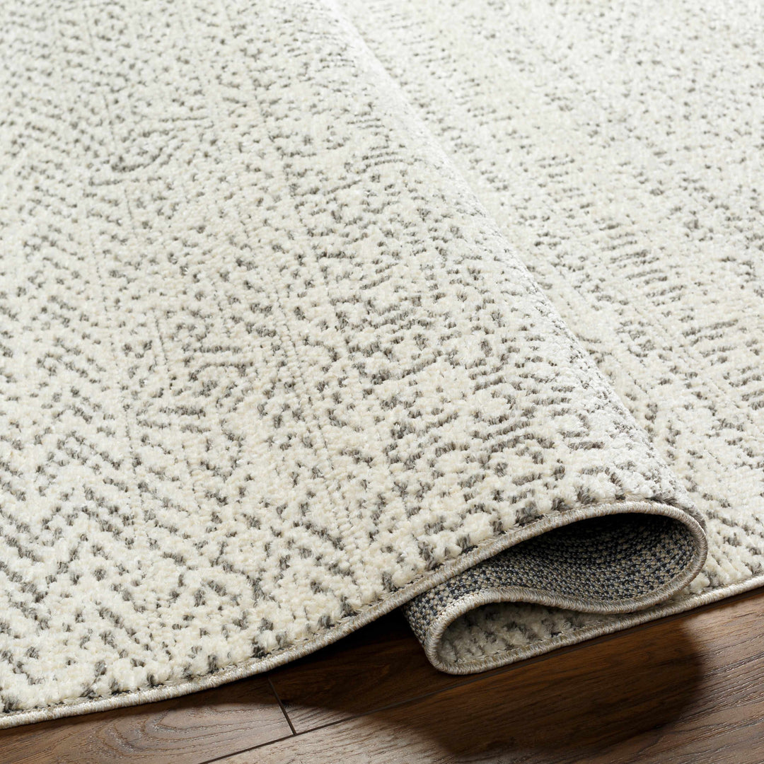 Truc Beige And Brown Traditional Style Rug