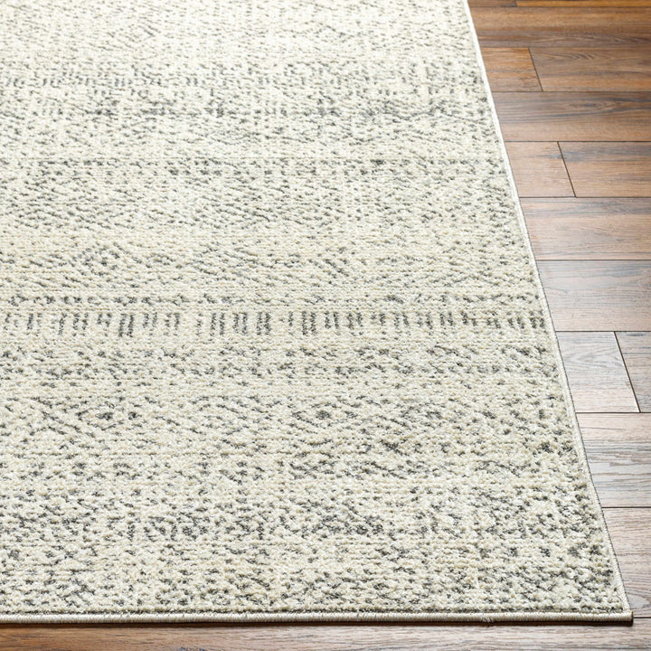 Truc Beige And Brown Traditional Style Rug