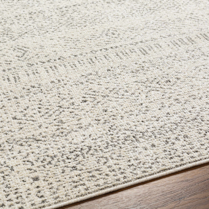 Truc Beige And Brown Traditional Style Rug