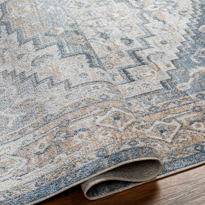 Nana Traditional Medallion Beige And Blue Washable Area Rug
