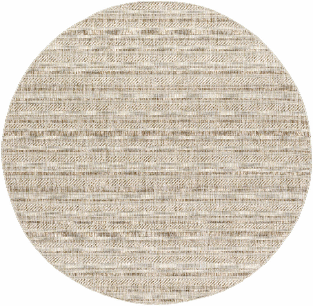 Sultanhisar Contemporary Style Beige Outdoor Area Rug