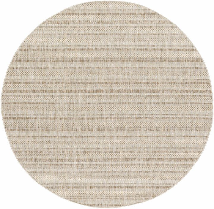 Sultanhisar Contemporary Style Beige Outdoor Area Rug