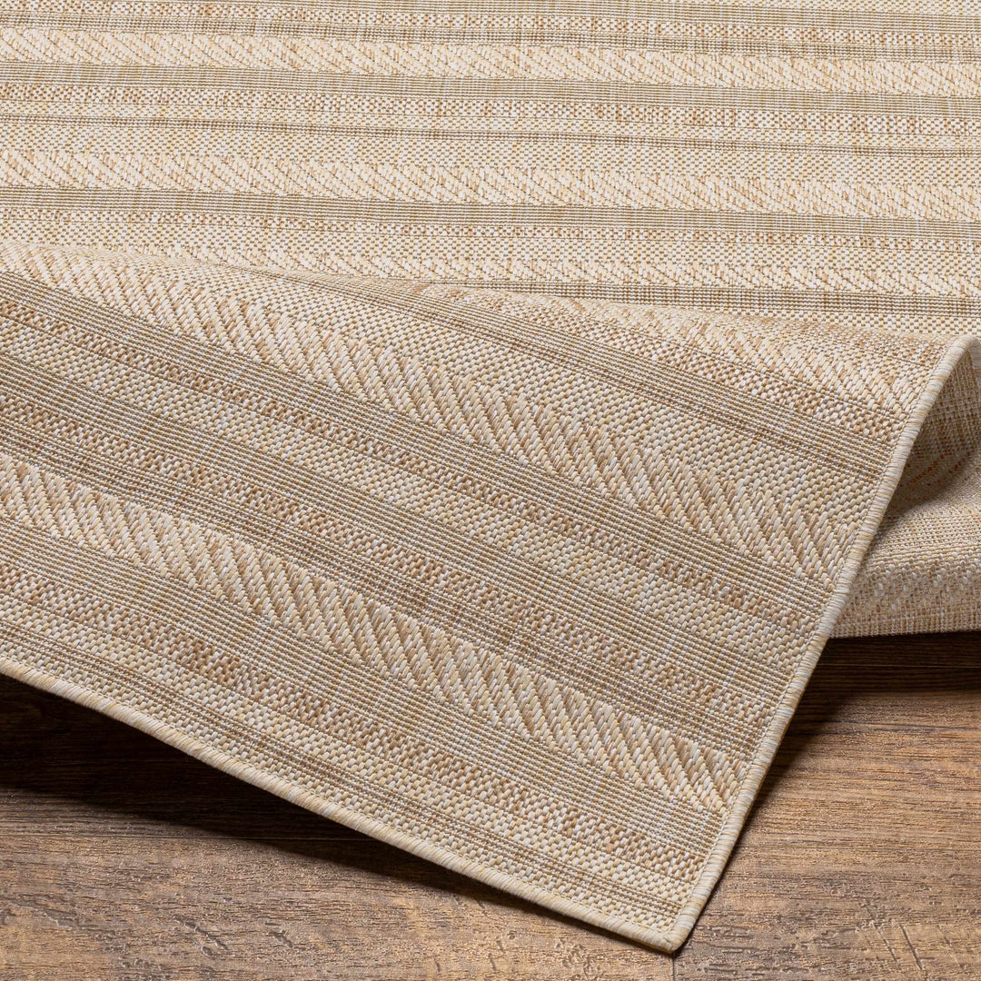 Sultanhisar Contemporary Style Beige Outdoor Area Rug
