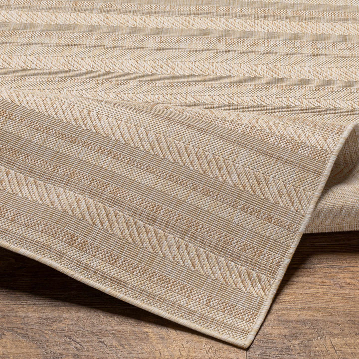 Sultanhisar Contemporary Style Beige Outdoor Area Rug