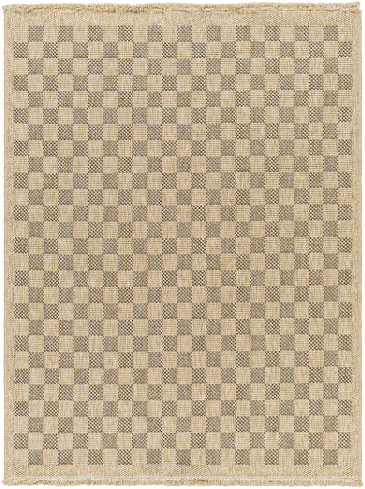Jurek Beige & Brown Contemporary Design Outdoor Rug