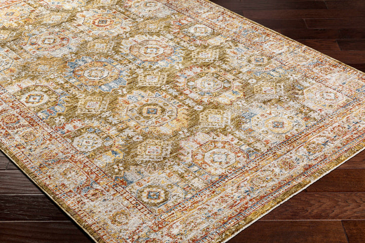 Crescentia Traditional Style Green And Rust Area Rug