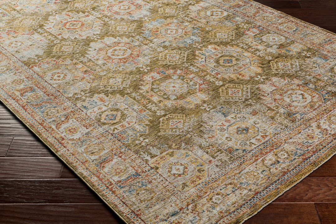 Crescentia Traditional Style Green And Rust Area Rug