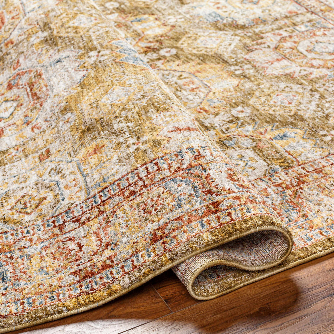 Crescentia Traditional Style Green And Rust Area Rug