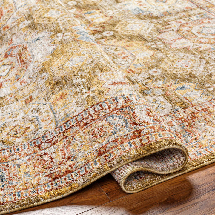 Crescentia Traditional Style Green And Rust Area Rug