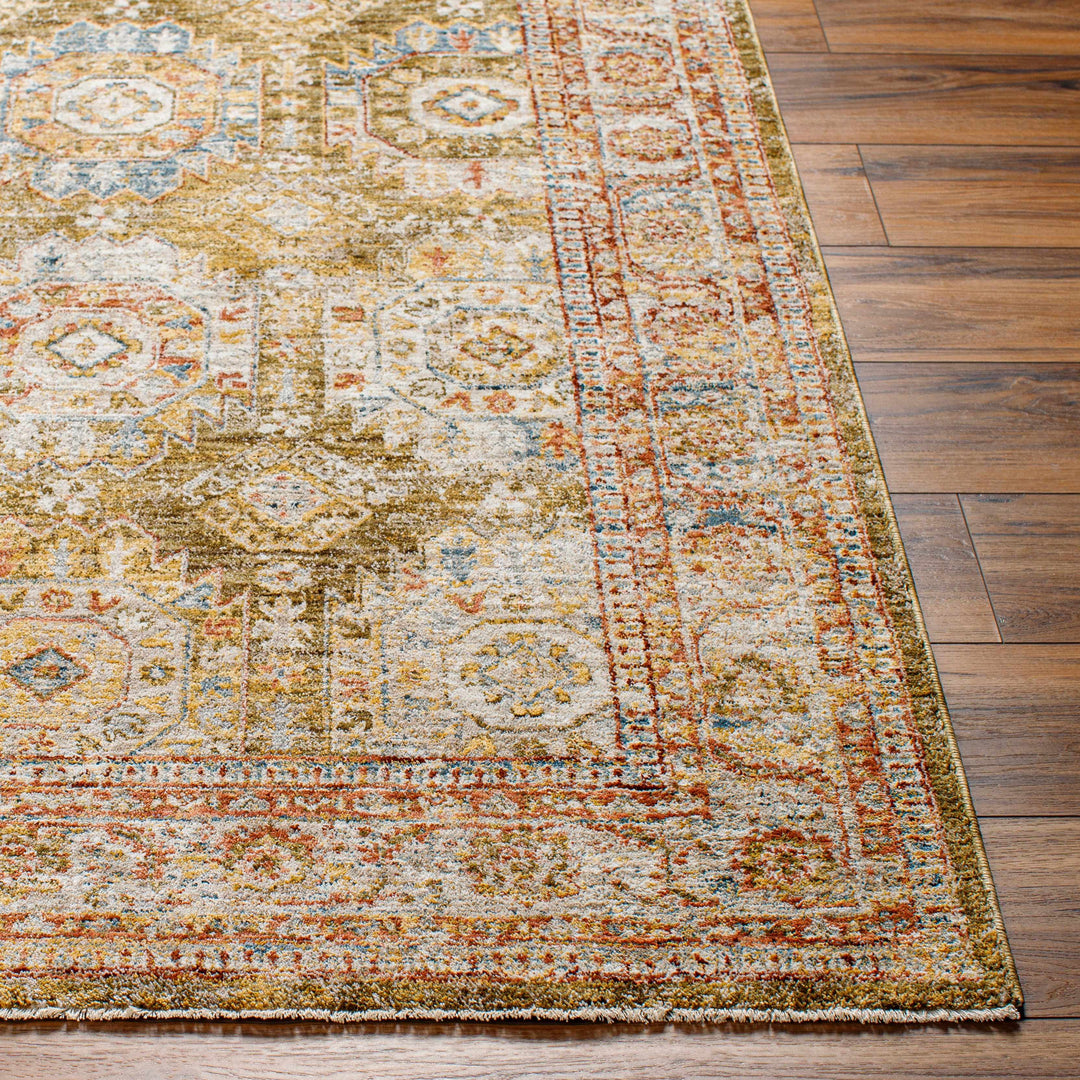 Crescentia Traditional Style Green And Rust Area Rug