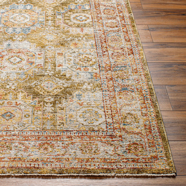Crescentia Traditional Style Green And Rust Area Rug