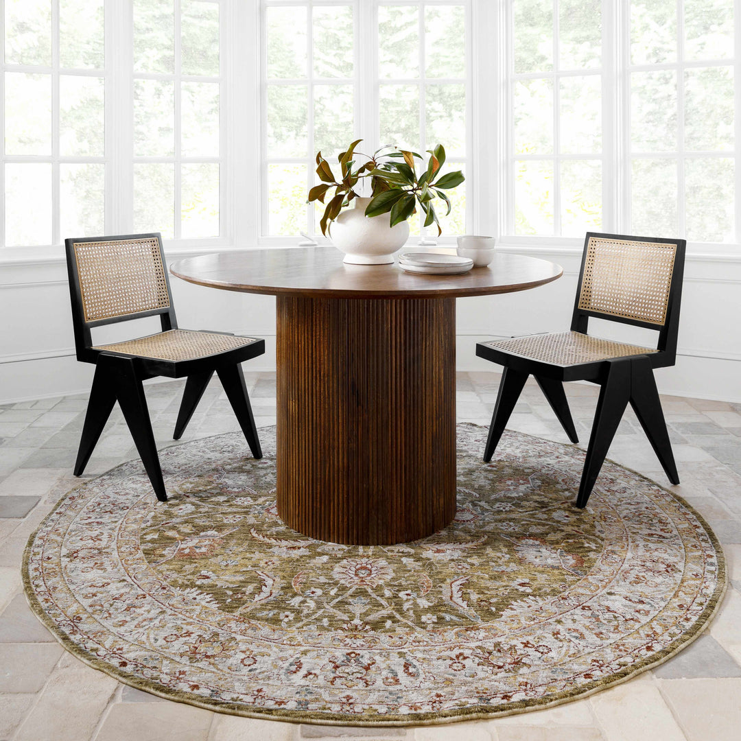 Crescentia Traditional Style Green And Rust Area Rug
