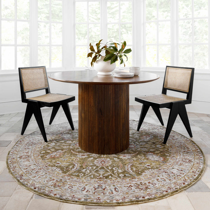 Crescentia Traditional Style Green And Rust Area Rug