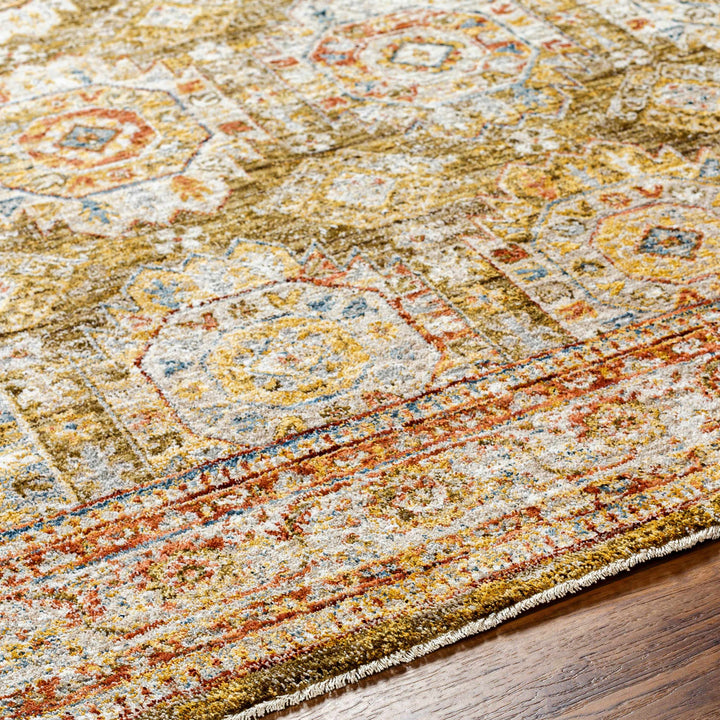 Crescentia Traditional Style Green And Rust Area Rug