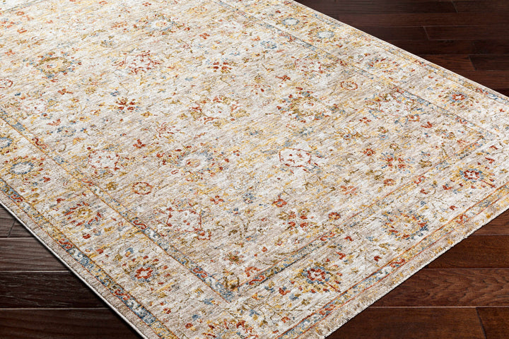 Duong Traditional Style Beige And Rust Area Rug