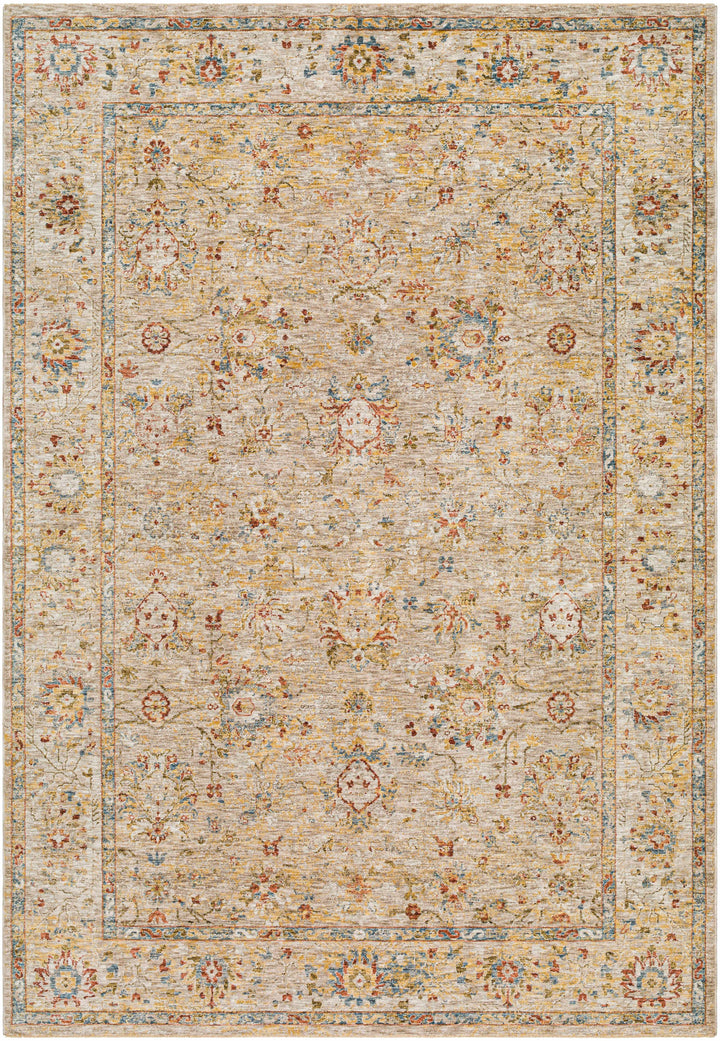 Duong Traditional Style Beige And Rust Area Rug