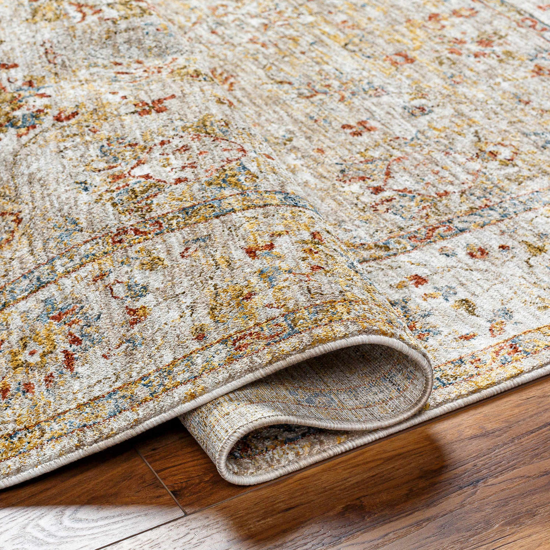 Duong Traditional Style Beige And Rust Area Rug