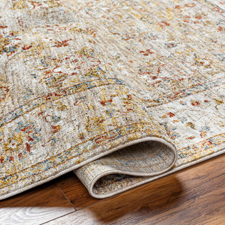 Duong Traditional Style Beige And Rust Area Rug