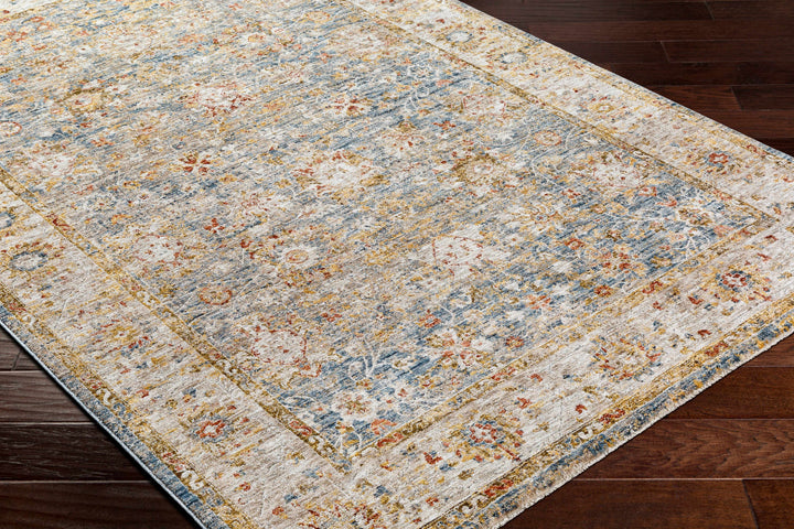 Duong Traditional Style Beige & Blue Area Rug