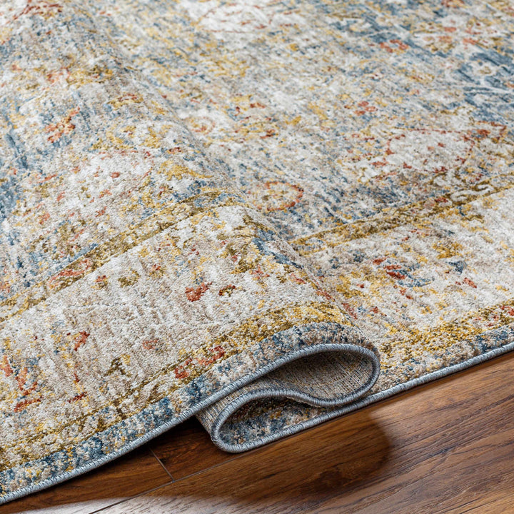 Duong Traditional Style Beige & Blue Area Rug