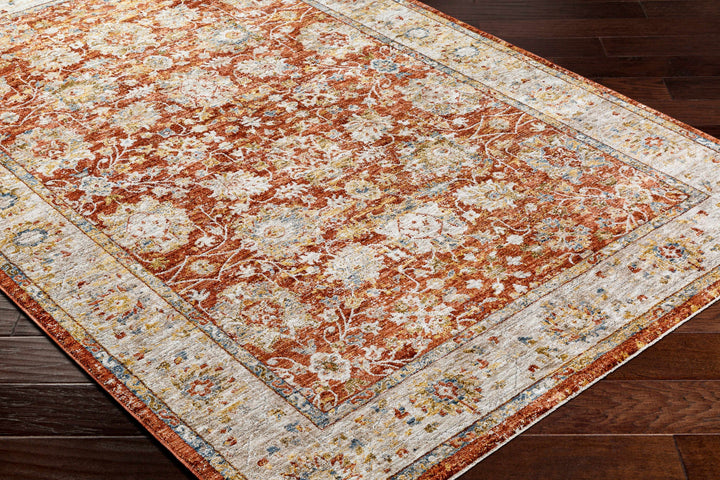 Duong Traditional Style Beige And Rust Area Rug