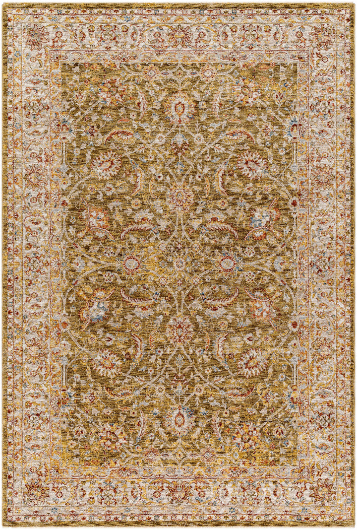 Dyan Traditional Style Olive And Beige Rug