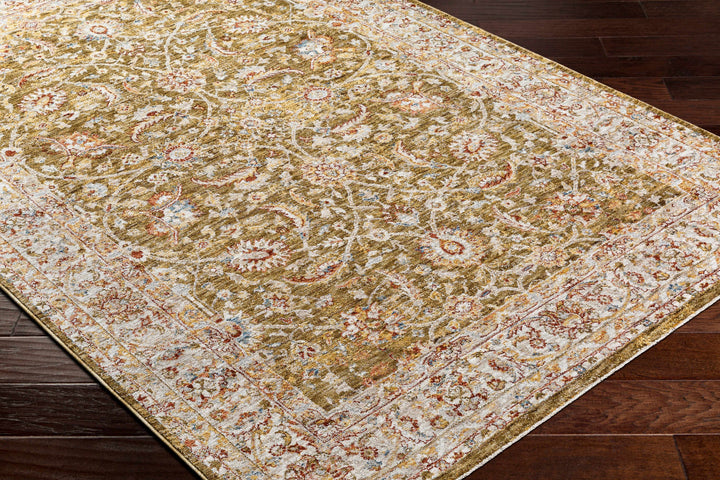 Dyan Traditional Style Olive And Beige Rug