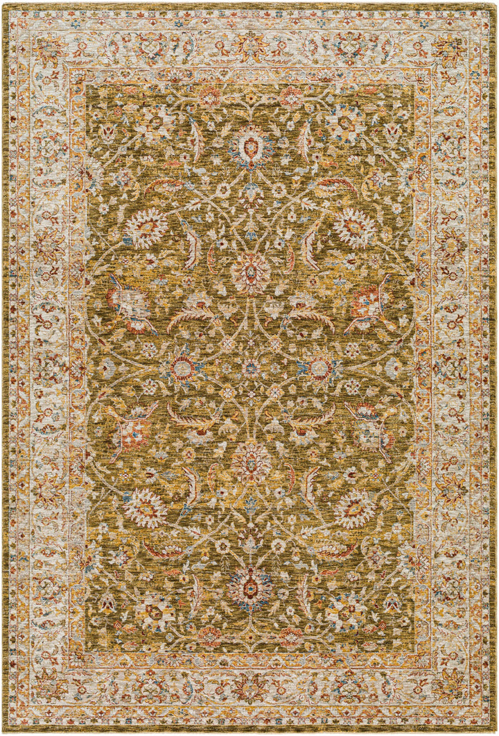 Dyan Traditional Style Olive And Beige Rug