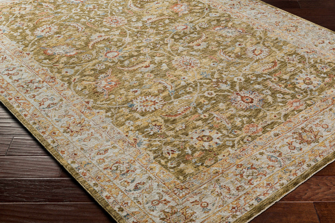 Dyan Traditional Style Olive And Beige Rug