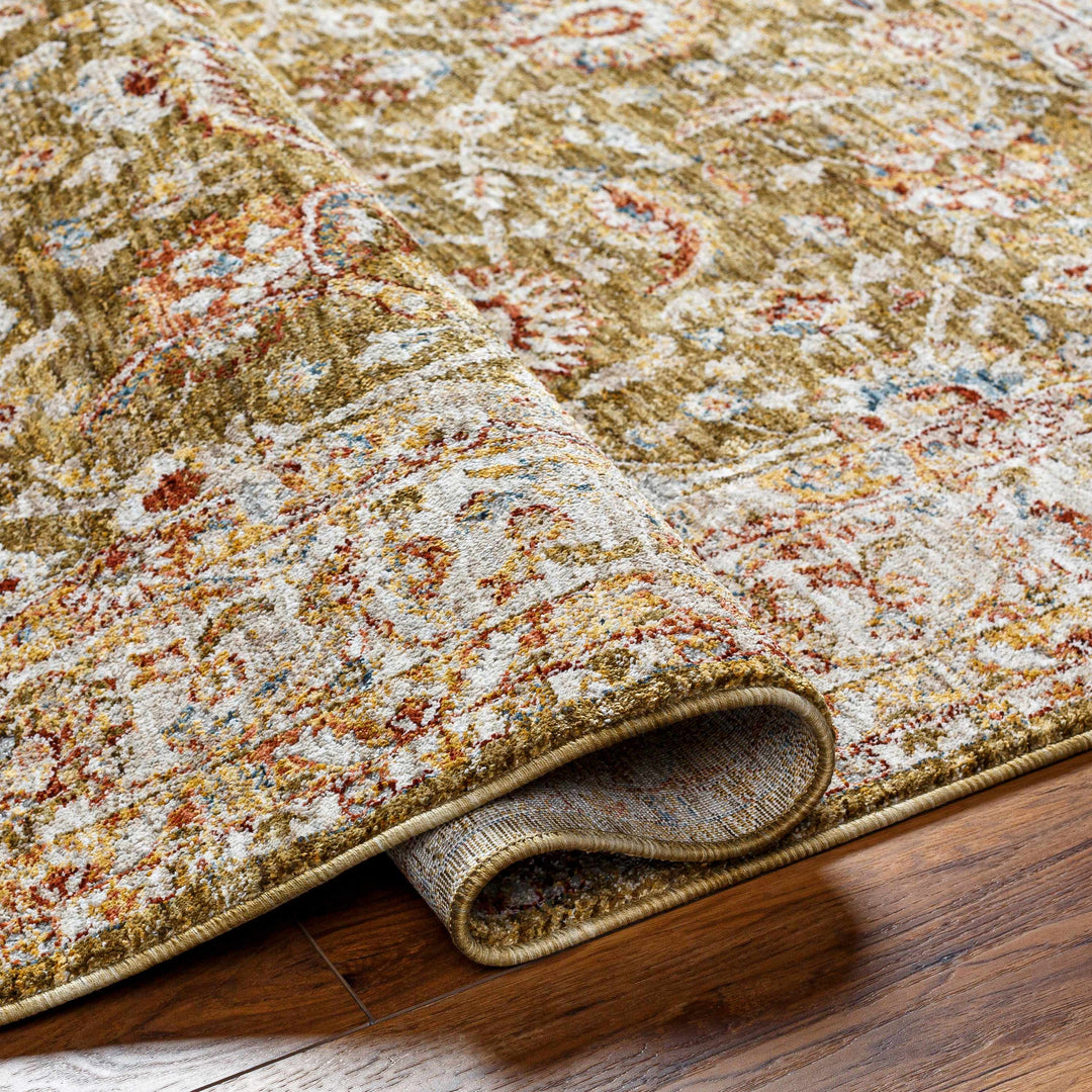 Dyan Traditional Style Olive And Beige Rug