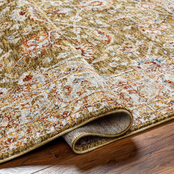 Dyan Traditional Style Olive And Beige Rug