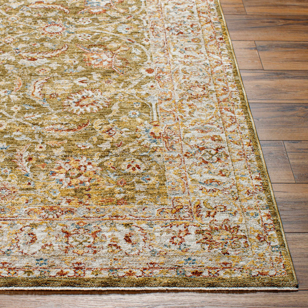 Dyan Traditional Style Olive And Beige Rug