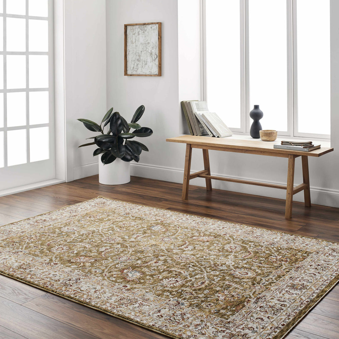 Dyan Traditional Style Olive And Beige Rug