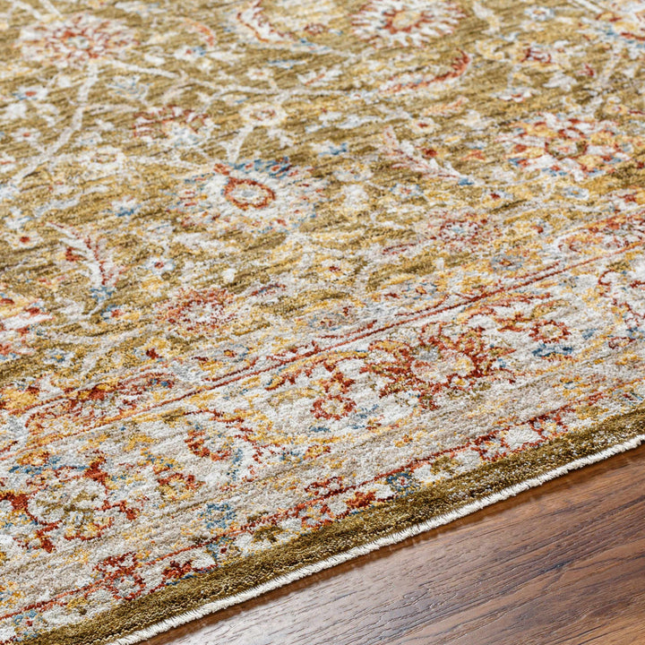 Dyan Traditional Style Olive And Beige Rug