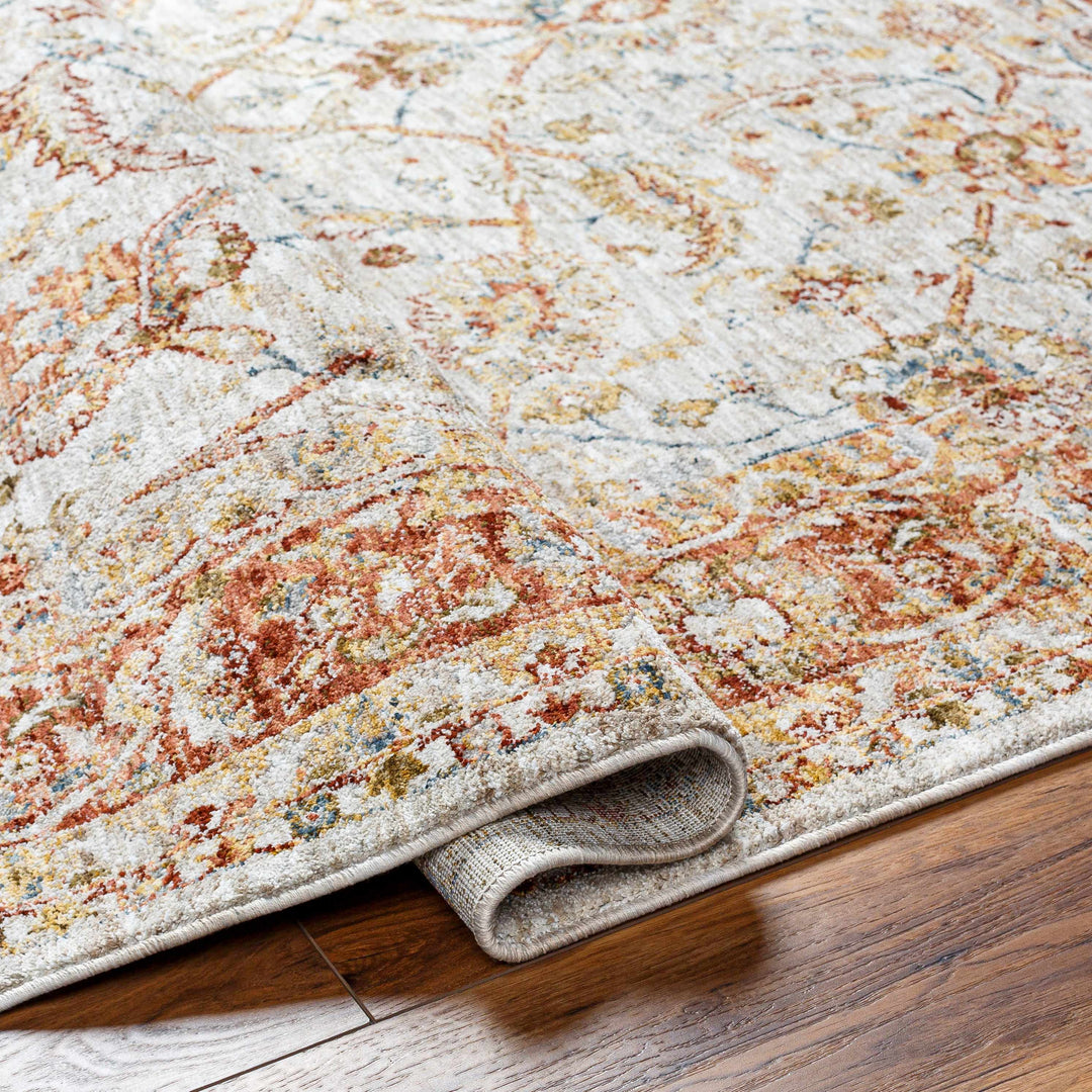 Dyan Traditional Style Rust And Beige Rug with Fringes