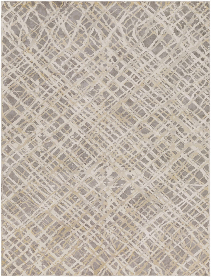 Smock Modern Abstract Design Beige And Gray Area Rug - The Rug Decor