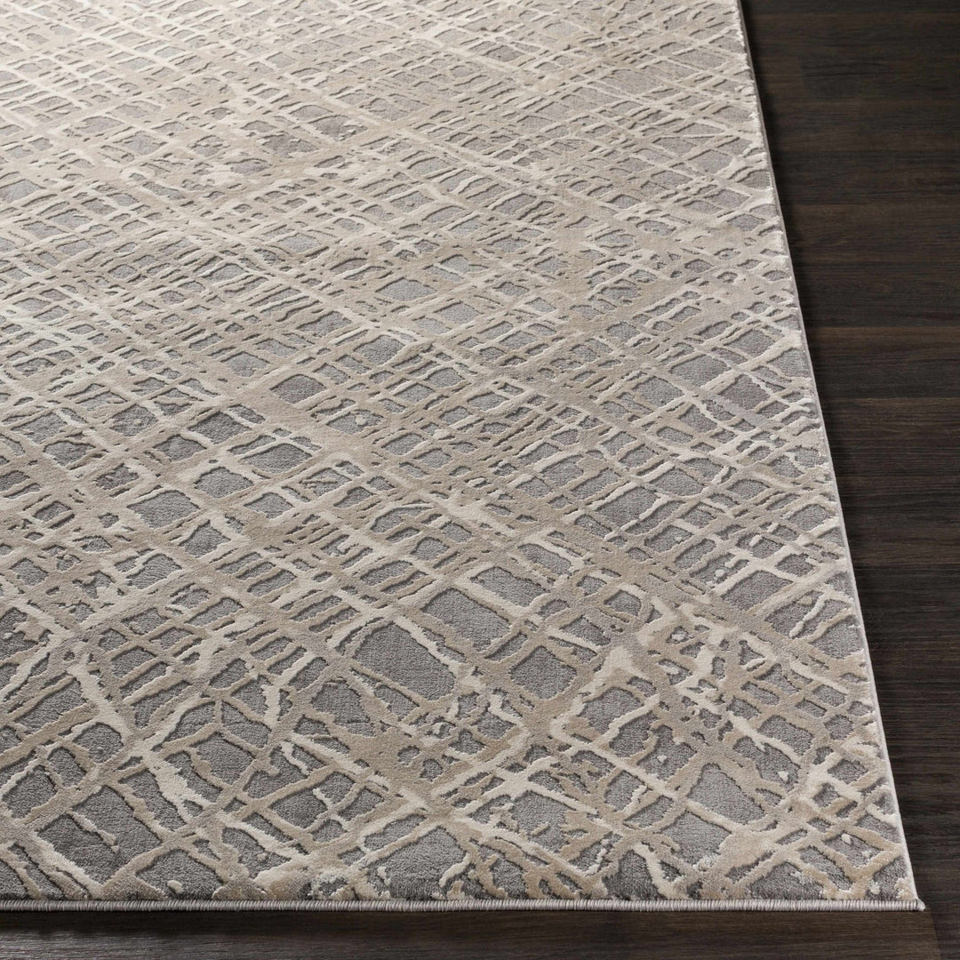Smock Modern Abstract Design Beige And Gray Area Rug - The Rug Decor