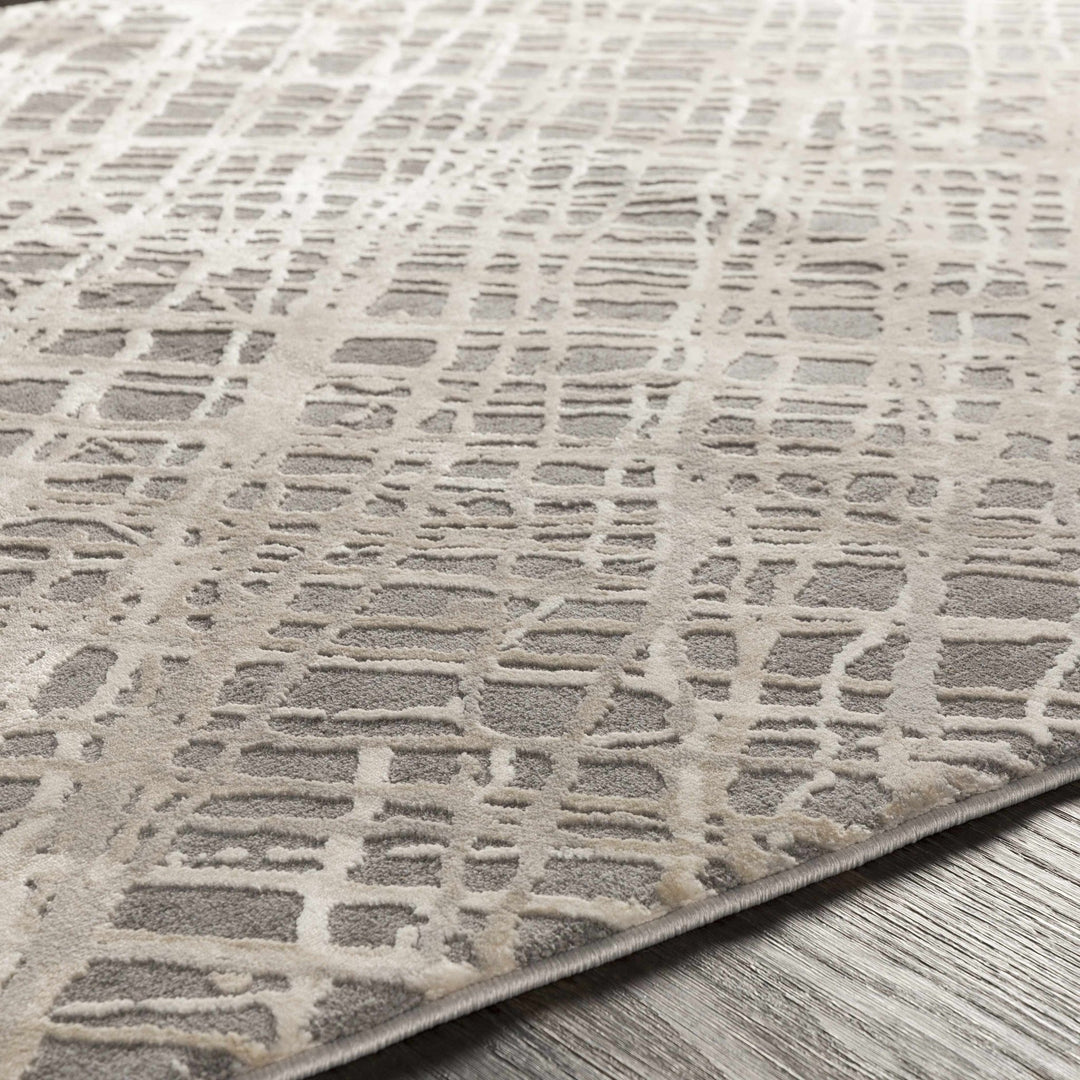 Smock Modern Abstract Design Beige And Gray Area Rug - The Rug Decor
