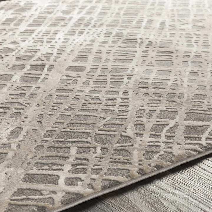 Smock Modern Abstract Design Beige And Gray Area Rug - The Rug Decor