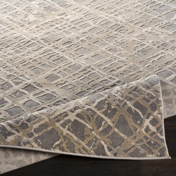 Smock Modern Abstract Design Beige And Gray Area Rug - The Rug Decor