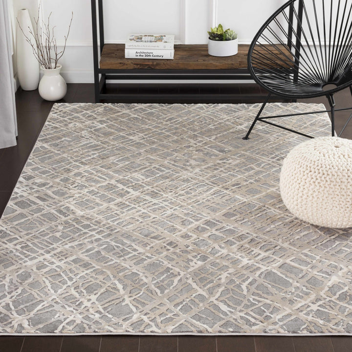 Smock Modern Abstract Design Beige And Gray Area Rug - The Rug Decor