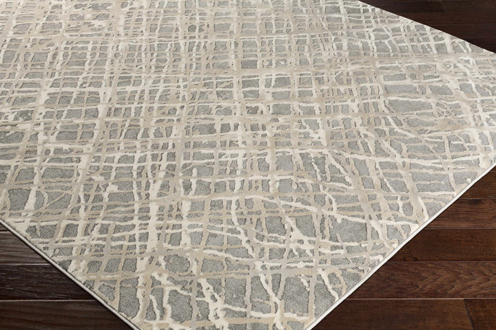 Smock Modern Abstract Design Beige And Gray Area Rug - The Rug Decor