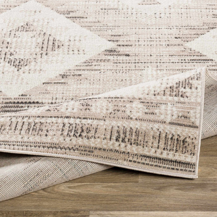 Smoketown Beige Modern Geometrical Design Area Rug - The Rug Decor