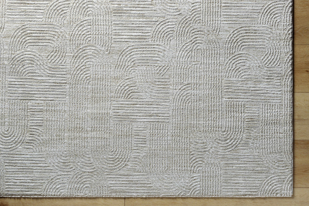 Harva Modern Style Gray Area Rug