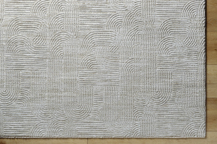 Harva Modern Style Gray Area Rug