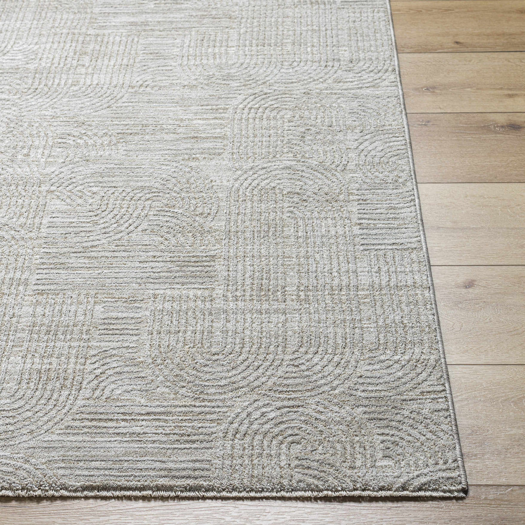 Harva Modern Style Gray Area Rug