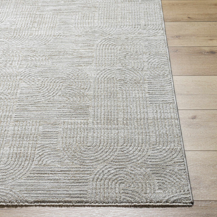 Harva Modern Style Gray Area Rug