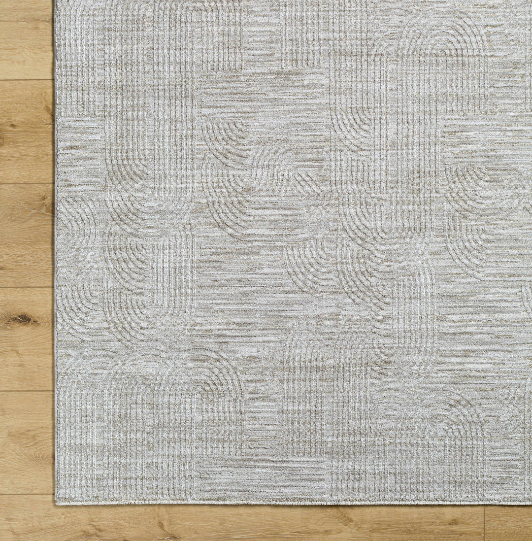 Harva Modern Style Gray Area Rug