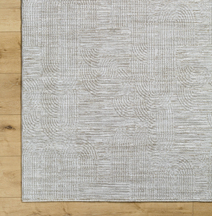 Harva Modern Style Gray Area Rug